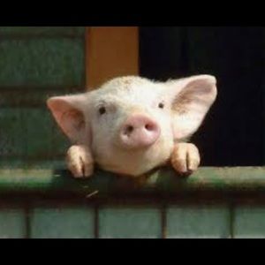 Meet your Posher, Richard